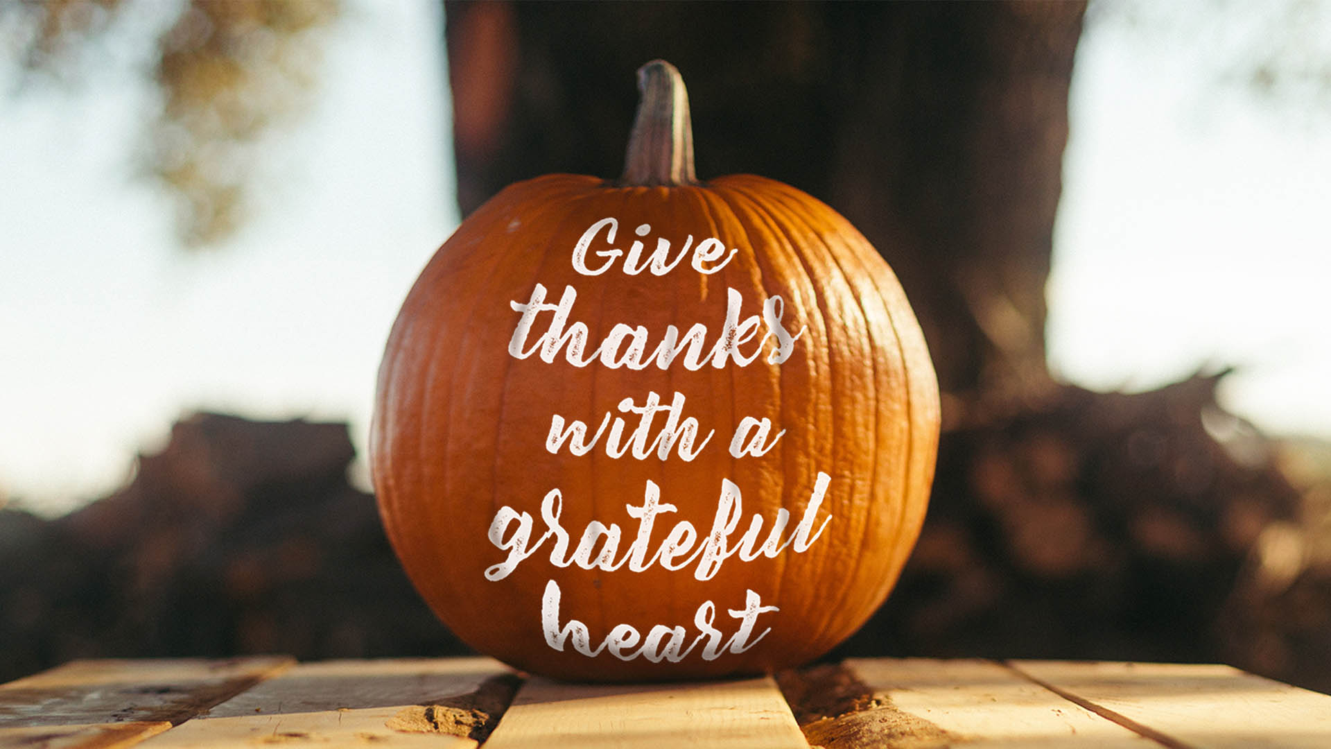 Give Thanks with a Grateful Heart