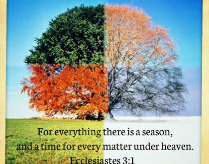 Seasons